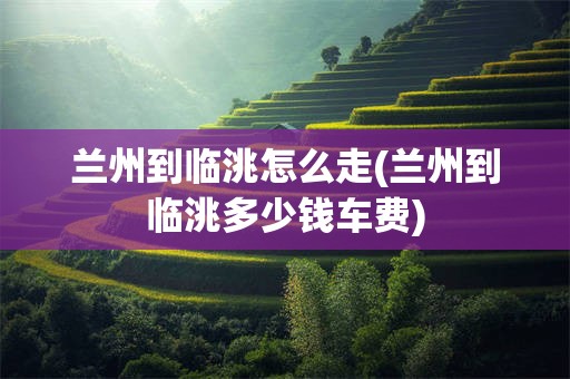 兰州到临洮怎么走(兰州到临洮多少钱车费)