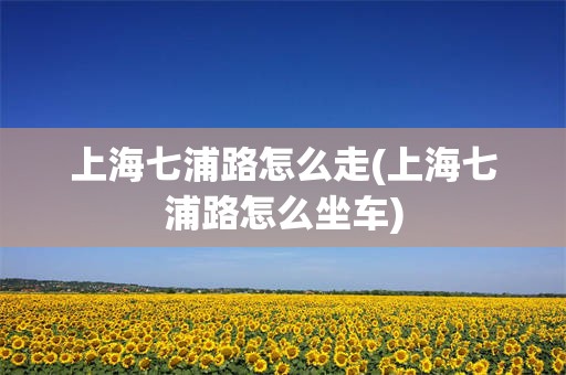 上海七浦路怎么走(上海七浦路怎么坐车)