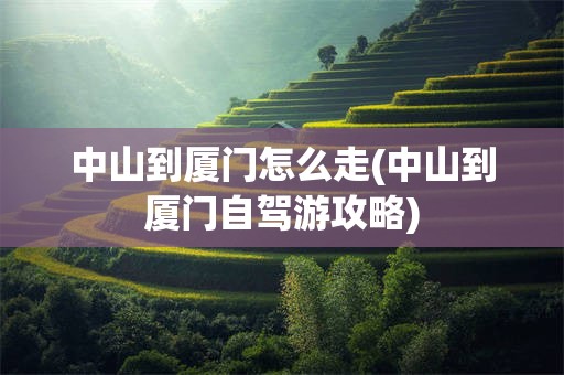 中山到厦门怎么走(中山到厦门自驾游攻略)