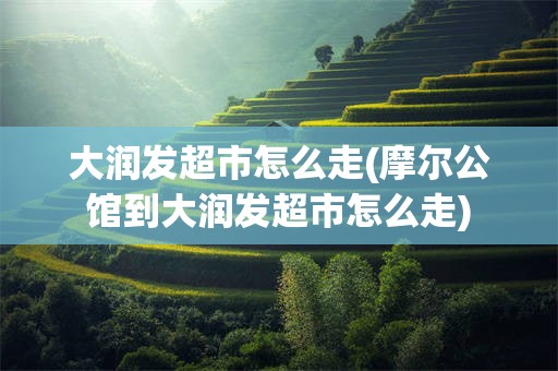 大润发超市怎么走(摩尔公馆到大润发超市怎么走)