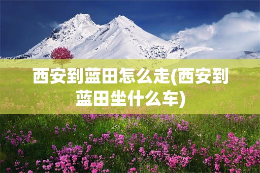 西安到蓝田怎么走(西安到蓝田坐什么车)
