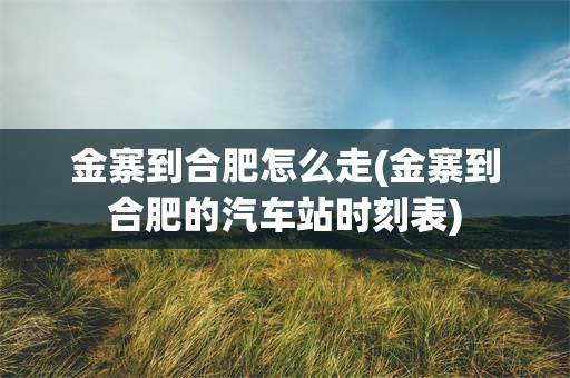 金寨到合肥怎么走(金寨到合肥的汽车站时刻表)