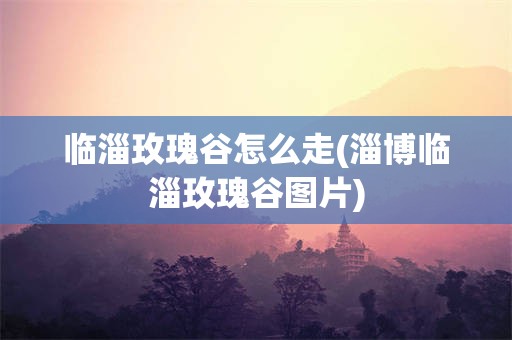 临淄玫瑰谷怎么走(淄博临淄玫瑰谷图片)