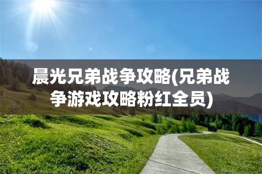 晨光兄弟战争攻略(兄弟战争游戏攻略粉红全员)