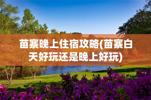 苗寨晚上住宿攻略(苗寨白天好玩还是晚上好玩)