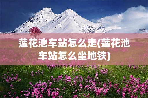 莲花池车站怎么走(莲花池车站怎么坐地铁)