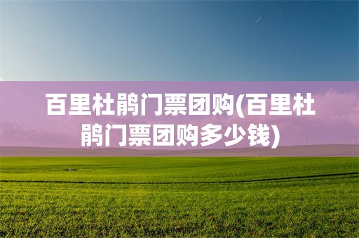 百里杜鹃门票团购(百里杜鹃门票团购多少钱)