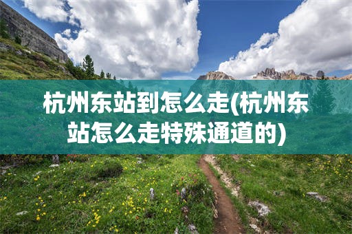 杭州东站到怎么走(杭州东站怎么走特殊通道的)