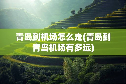 青岛到机场怎么走(青岛到青岛机场有多远)