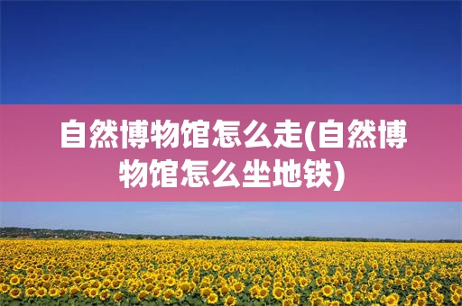 自然博物馆怎么走(自然博物馆怎么坐地铁)