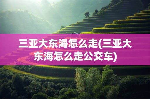 三亚大东海怎么走(三亚大东海怎么走公交车)