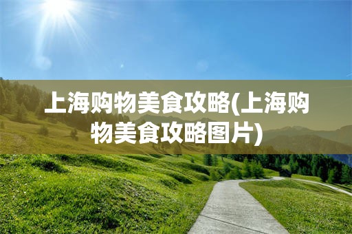 上海购物美食攻略(上海购物美食攻略图片)