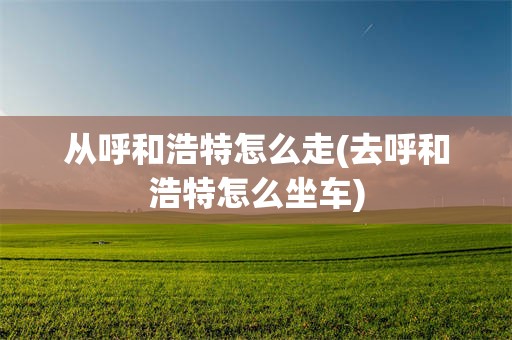 从呼和浩特怎么走(去呼和浩特怎么坐车)