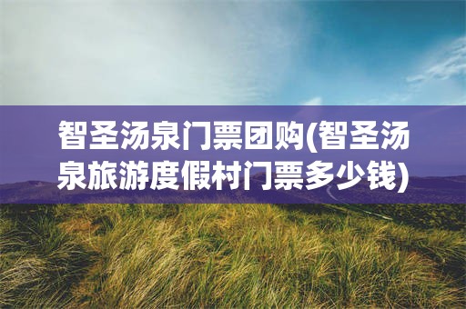 智圣汤泉门票团购(智圣汤泉旅游度假村门票多少钱)