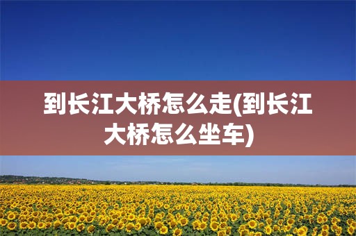 到长江大桥怎么走(到长江大桥怎么坐车)