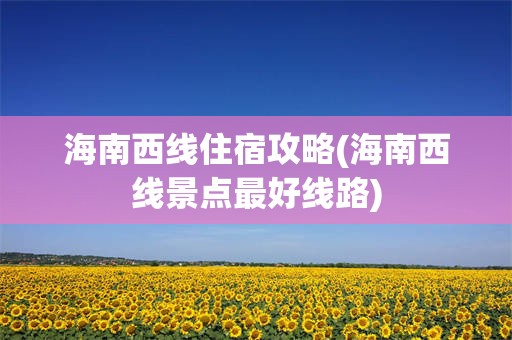 海南西线住宿攻略(海南西线景点最好线路)