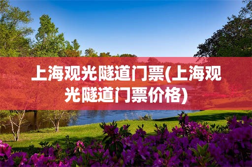 上海观光隧道门票(上海观光隧道门票价格)