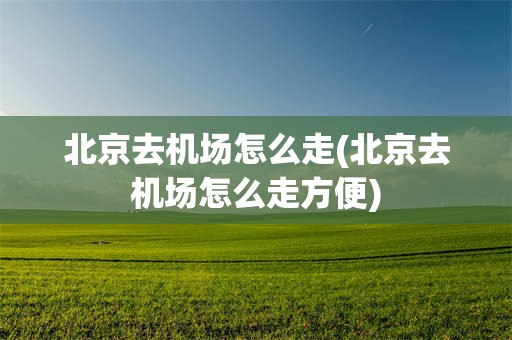 北京去机场怎么走(北京去机场怎么走方便)