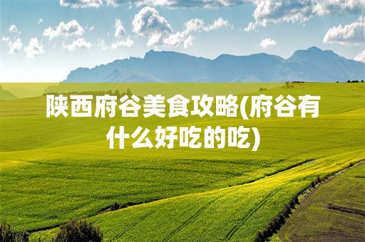 陕西府谷美食攻略(府谷有什么好吃的吃)