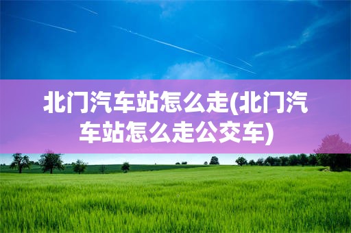北门汽车站怎么走(北门汽车站怎么走公交车)