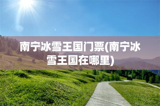 南宁冰雪王国门票(南宁冰雪王国在哪里)