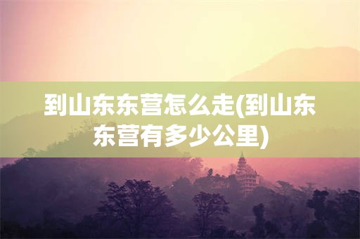 到山东东营怎么走(到山东东营有多少公里)