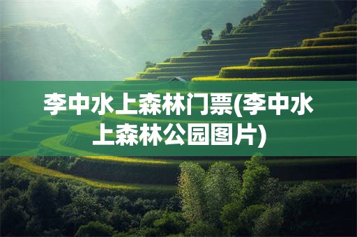李中水上森林门票(李中水上森林公园图片)