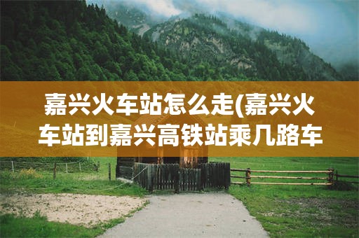 嘉兴火车站怎么走(嘉兴火车站到嘉兴高铁站乘几路车)