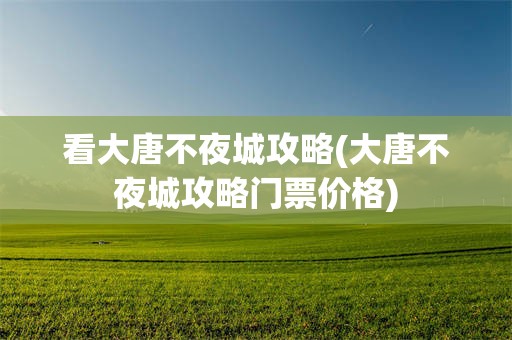 看大唐不夜城攻略(大唐不夜城攻略门票价格)