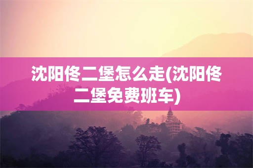 沈阳佟二堡怎么走(沈阳佟二堡免费班车)