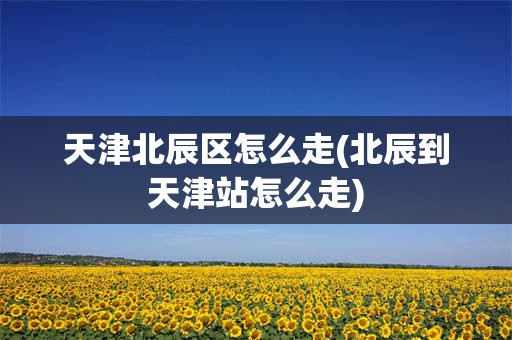 天津北辰区怎么走(北辰到天津站怎么走)