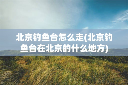 北京钓鱼台怎么走(北京钓鱼台在北京的什么地方)