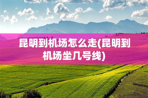 昆明到机场怎么走(昆明到机场坐几号线)