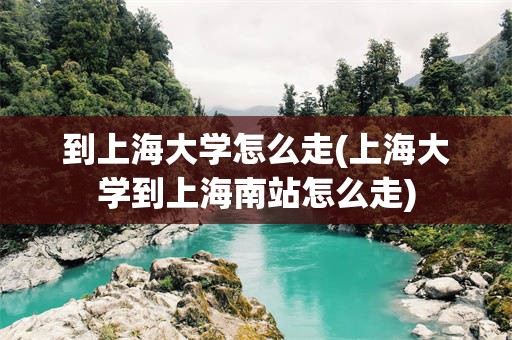 到上海大学怎么走(上海大学到上海南站怎么走)