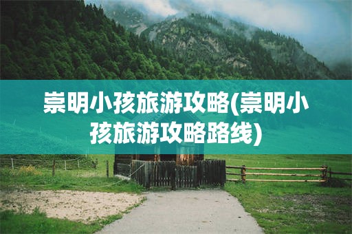 崇明小孩旅游攻略(崇明小孩旅游攻略路线)