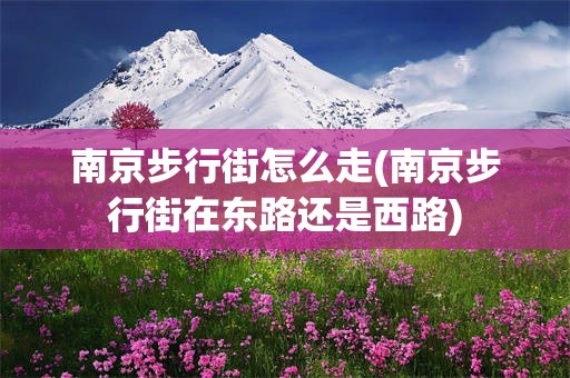南京步行街怎么走(南京步行街在东路还是西路)