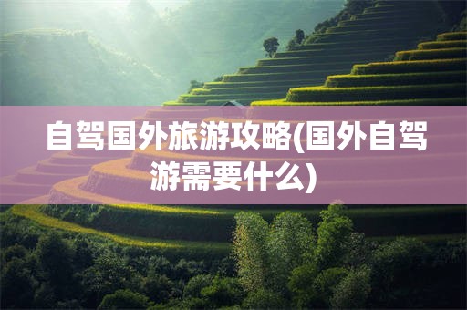 自驾国外旅游攻略(国外自驾游需要什么)