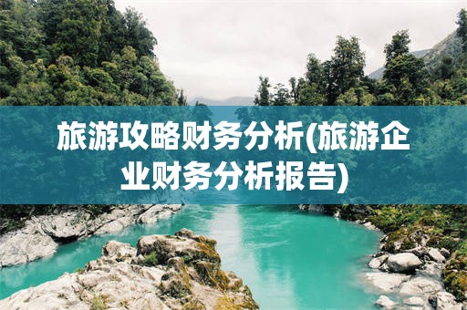旅游攻略财务分析(旅游企业财务分析报告)