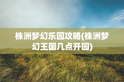 株洲梦幻乐园攻略(株洲梦幻王国几点开园)