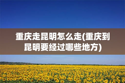 重庆走昆明怎么走(重庆到昆明要经过哪些地方)