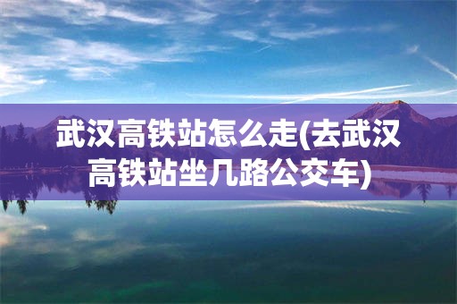 武汉高铁站怎么走(去武汉高铁站坐几路公交车)