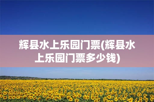 辉县水上乐园门票(辉县水上乐园门票多少钱)