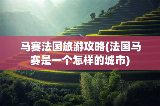 马赛法国旅游攻略(法国马赛是一个怎样的城市)