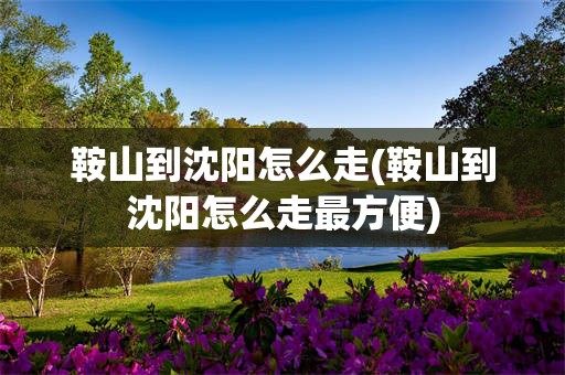 鞍山到沈阳怎么走(鞍山到沈阳怎么走最方便)