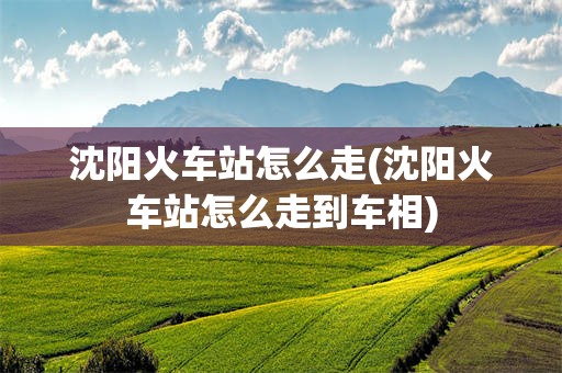 沈阳火车站怎么走(沈阳火车站怎么走到车相)