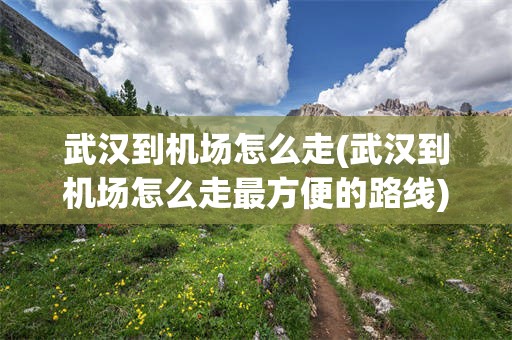 武汉到机场怎么走(武汉到机场怎么走最方便的路线)