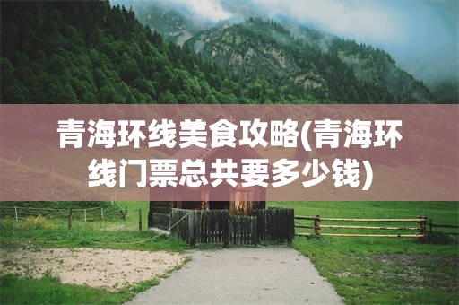 青海环线美食攻略(青海环线门票总共要多少钱)