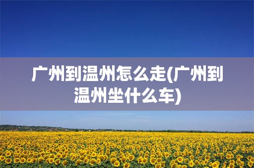 广州到温州怎么走(广州到温州坐什么车)
