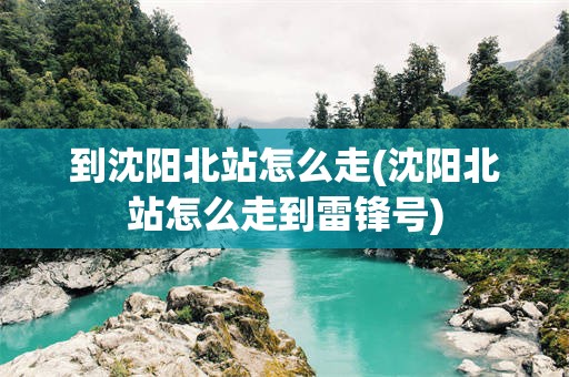 到沈阳北站怎么走(沈阳北站怎么走到雷锋号)