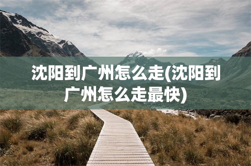 沈阳到广州怎么走(沈阳到广州怎么走最快)